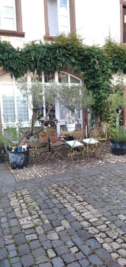 Apartment Altes Winzerhaus Osann-Monzel ภายนอก รูปภาพ