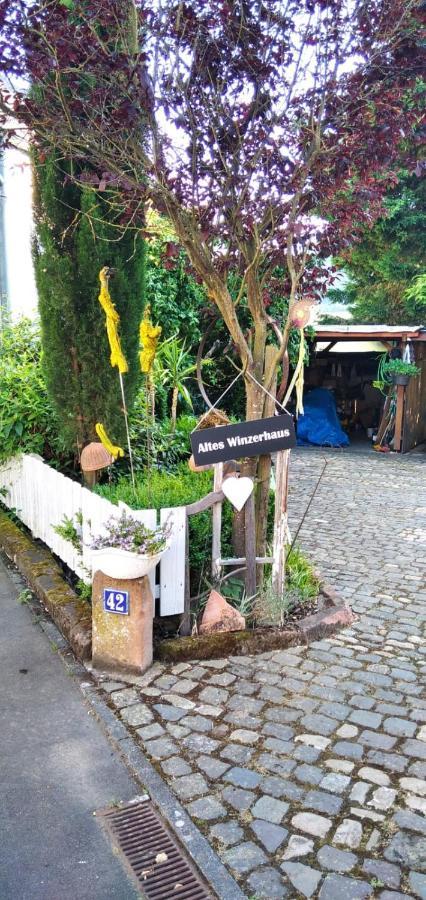 Apartment Altes Winzerhaus Osann-Monzel ภายนอก รูปภาพ