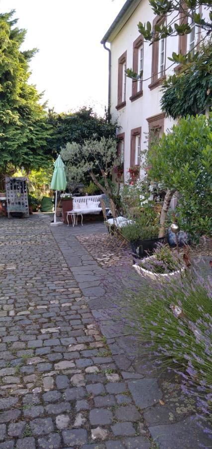 Apartment Altes Winzerhaus Osann-Monzel ภายนอก รูปภาพ